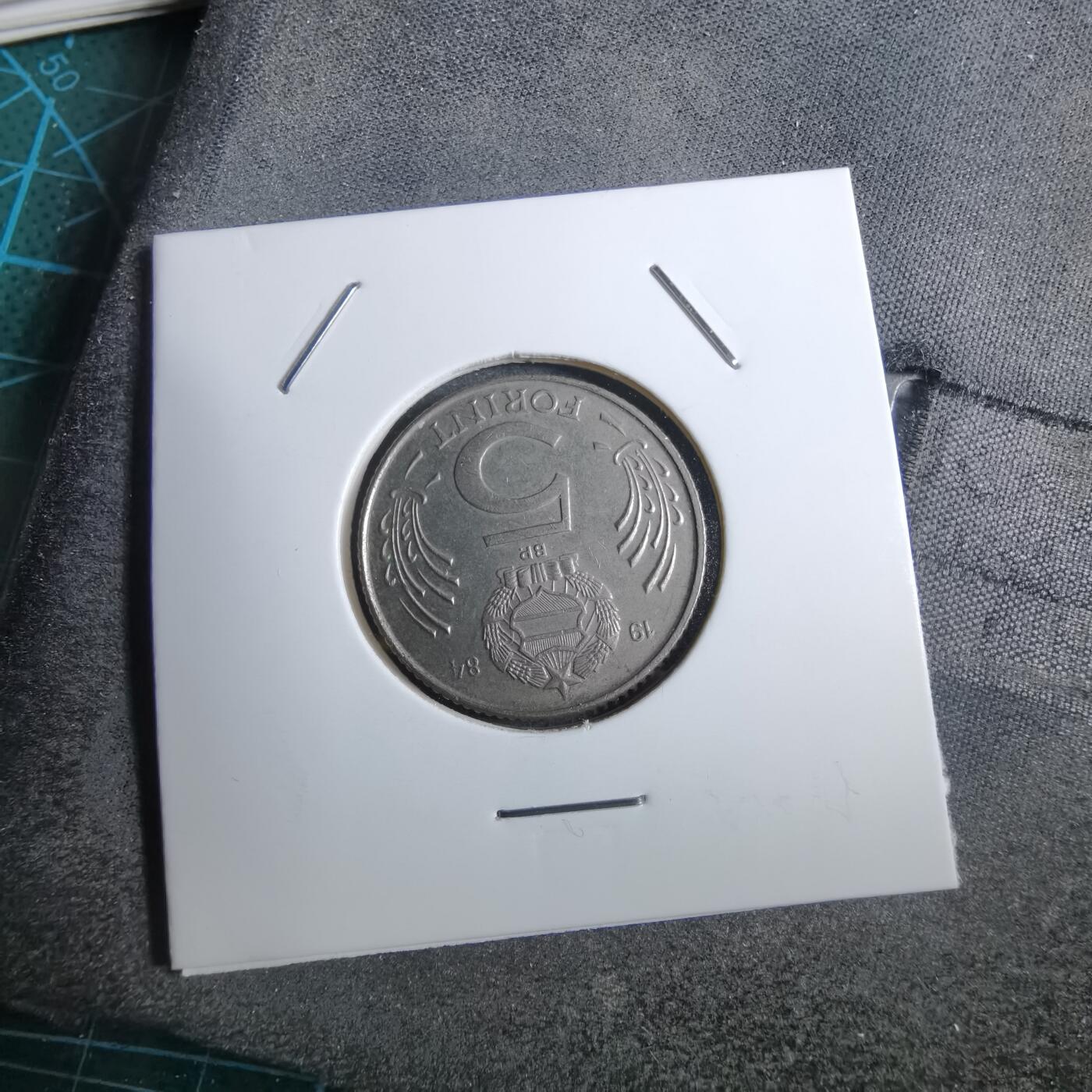 沼泽如烟--第892场