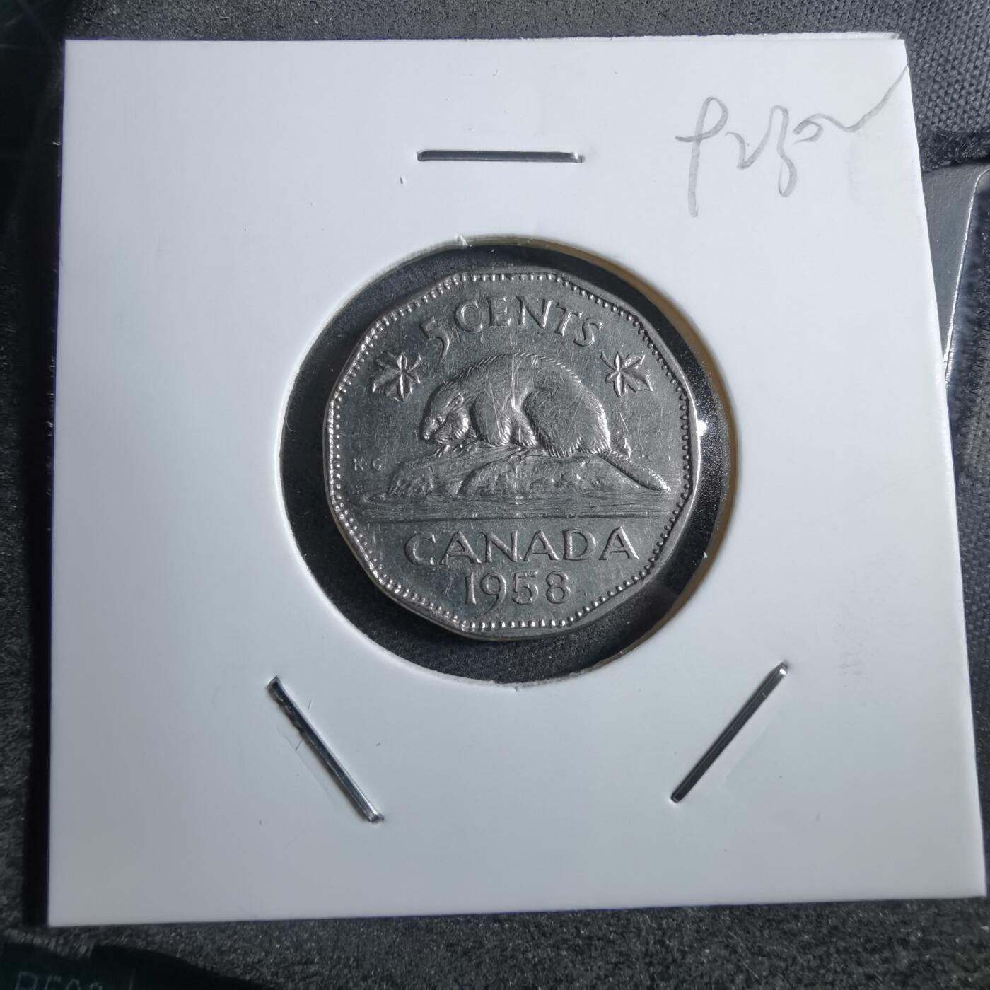 沼泽如烟--第892场