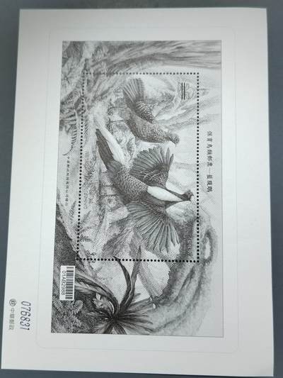 PCAI钱币6-583 中国台湾省邮票小专场 - 鸟