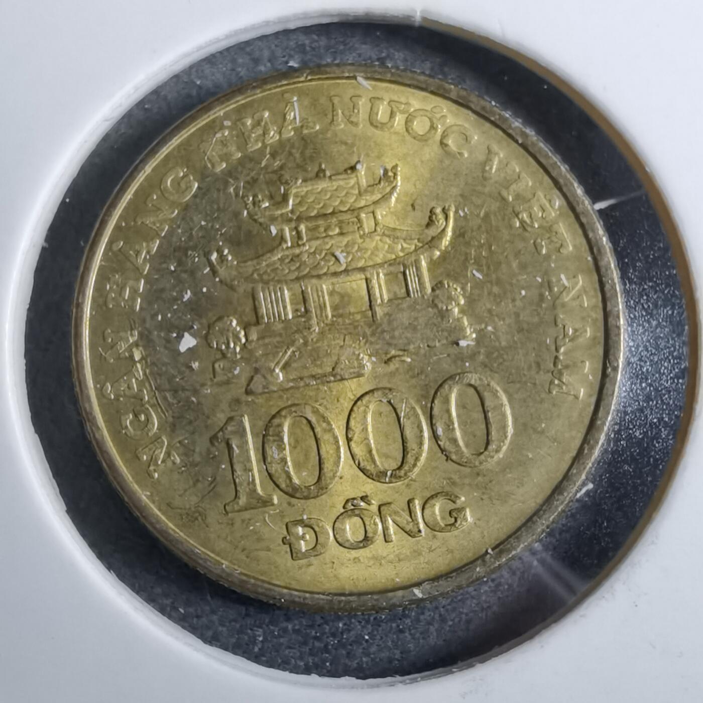 沼泽如烟--第892场