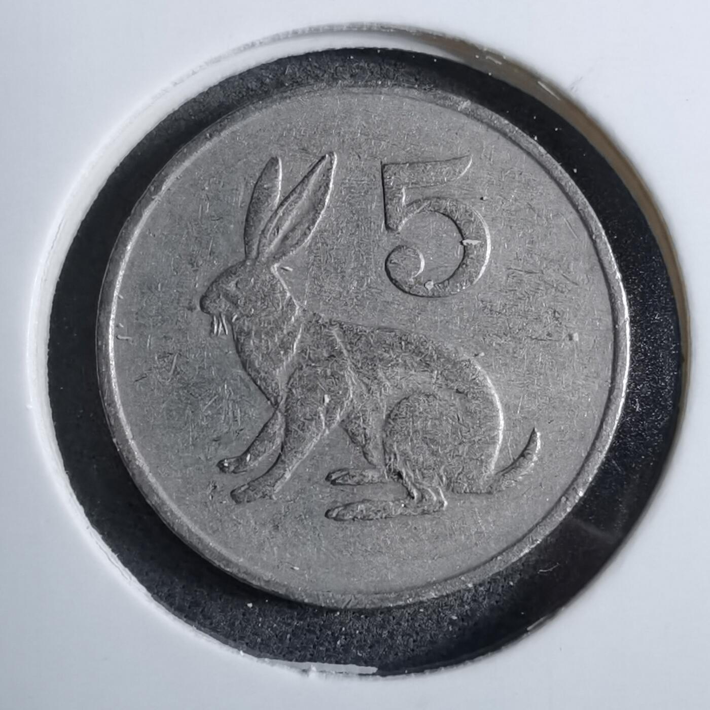 沼泽如烟--第892场