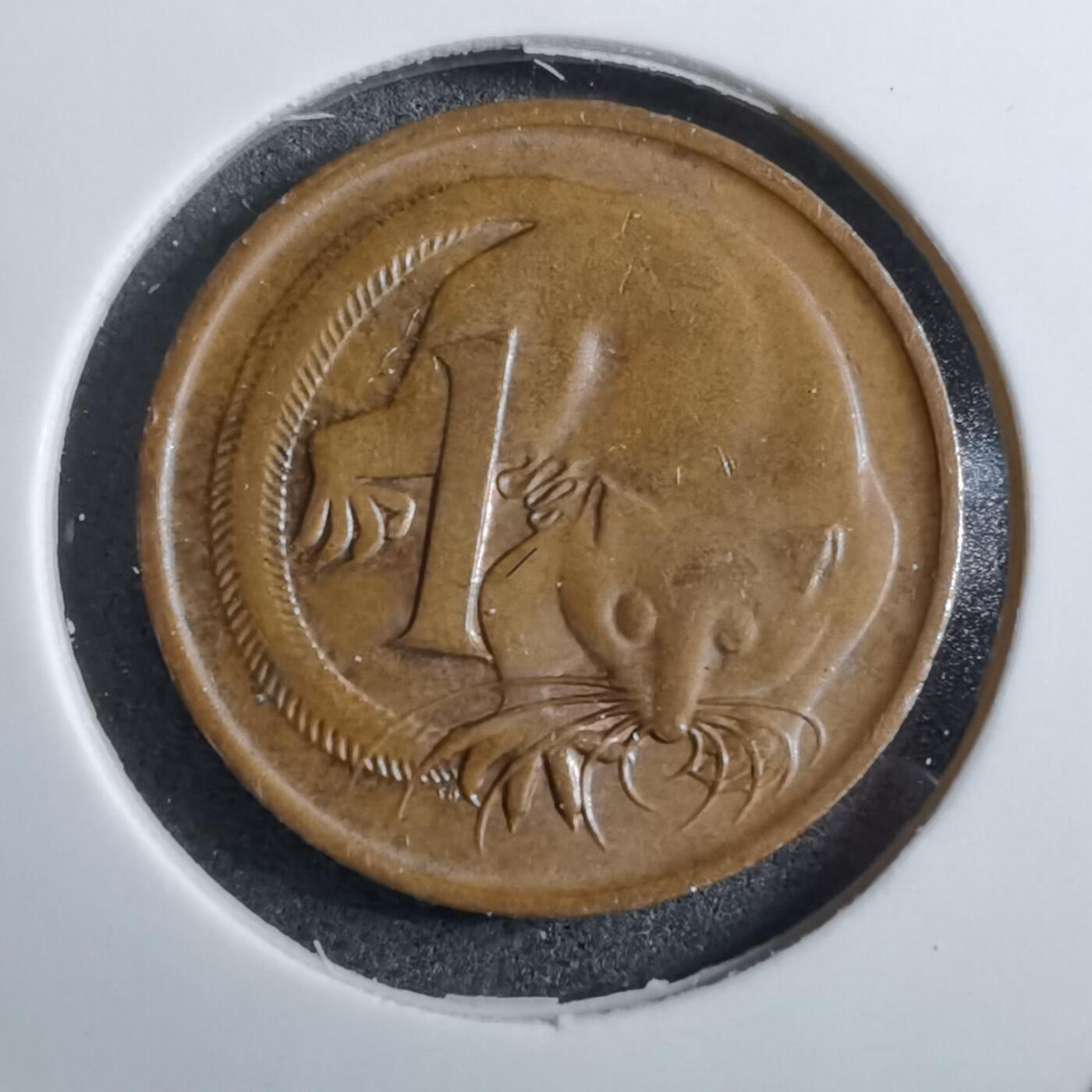 沼泽如烟--第892场