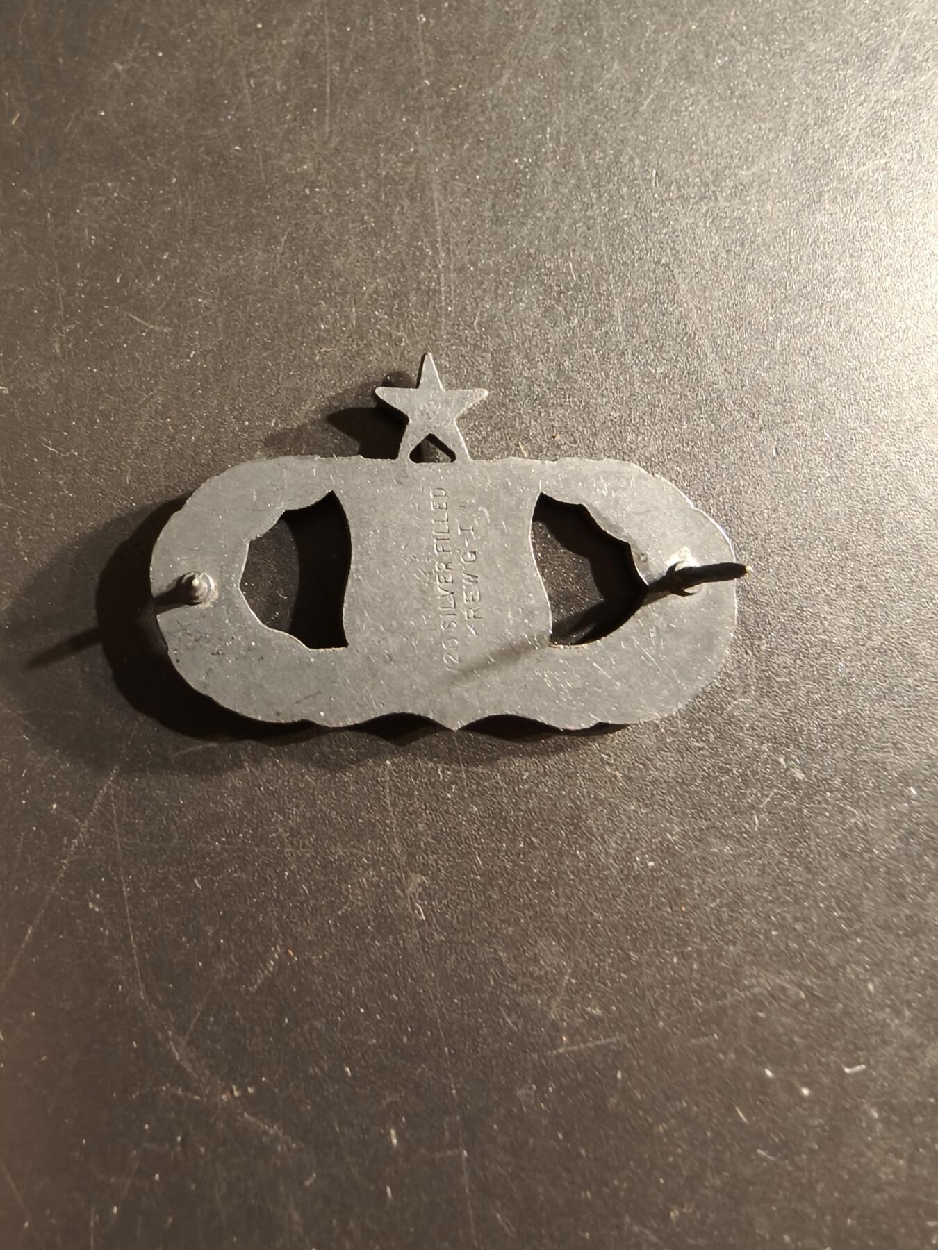 老王徽章第161期 美国空军中级武器管控员技能章     包银