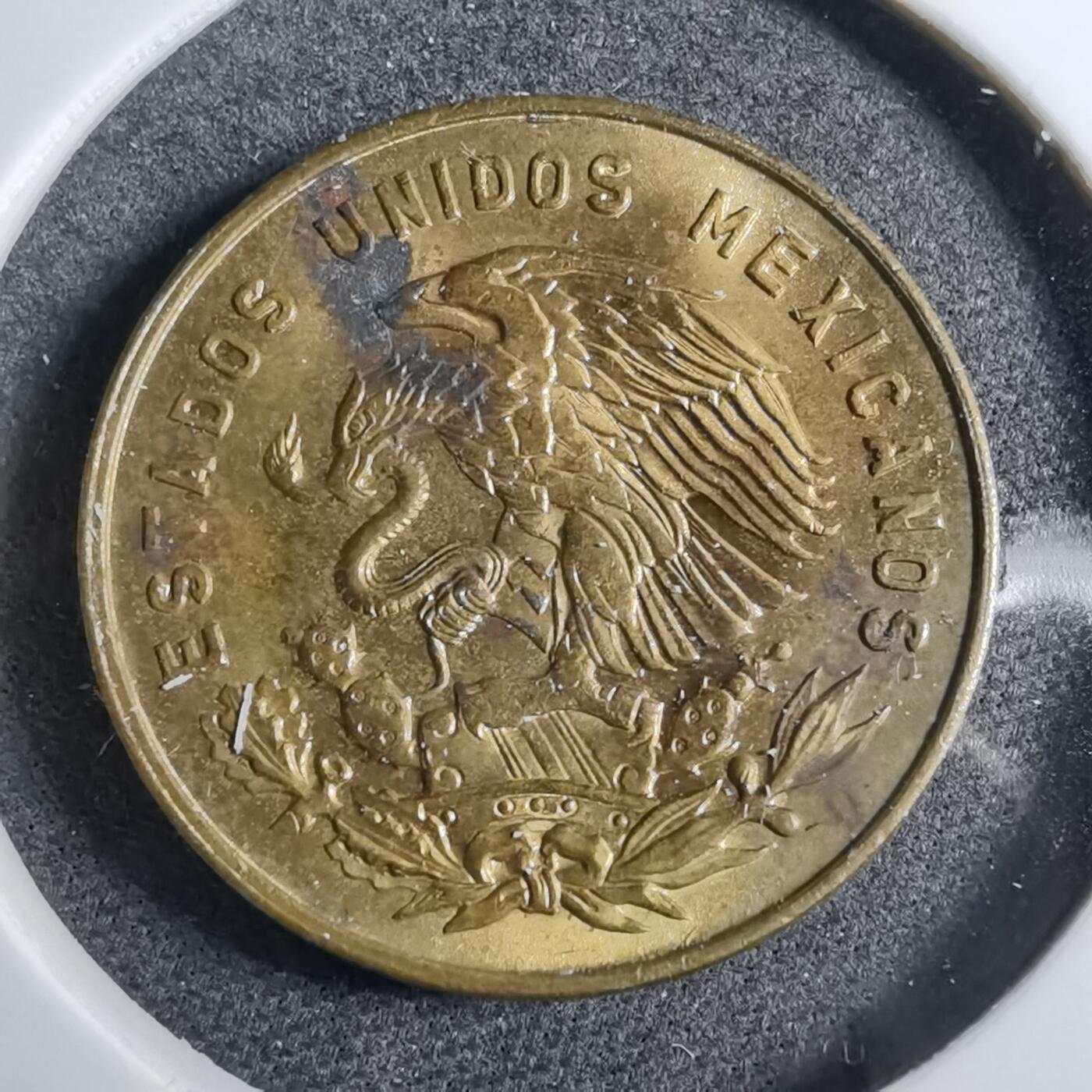 沼泽如烟--第892场