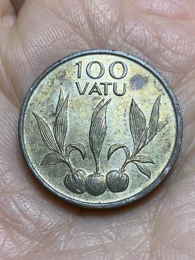 2025年第一百二十三场(总第一百四十九场）外国好品散币(免佣金) - 瓦努阿图🇻🇺1995年100瓦图