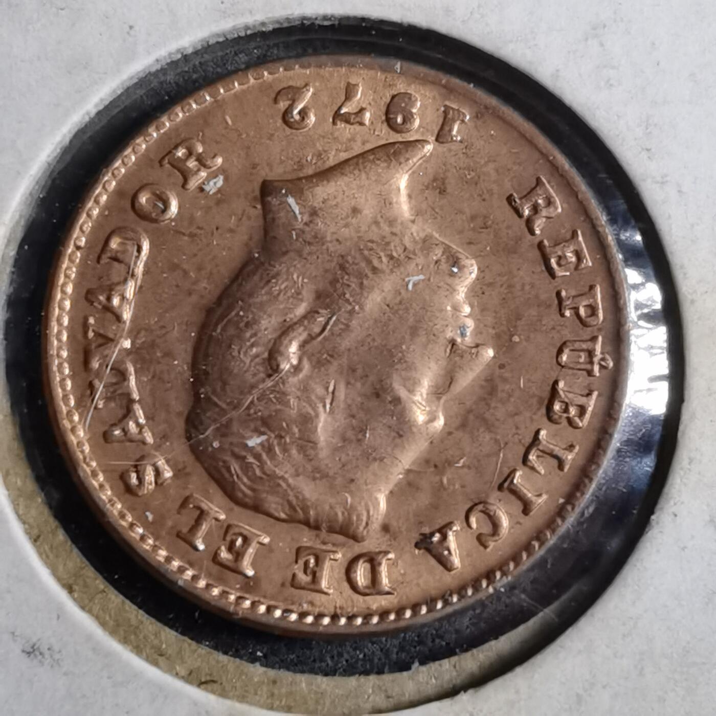 沼泽如烟--第892场