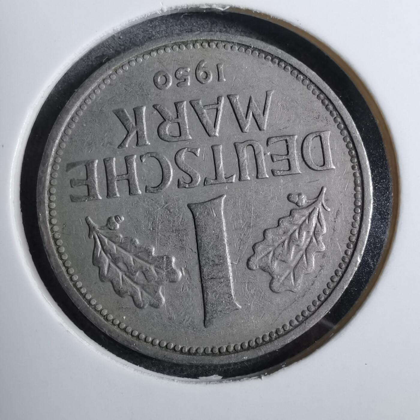 沼泽如烟--第892场