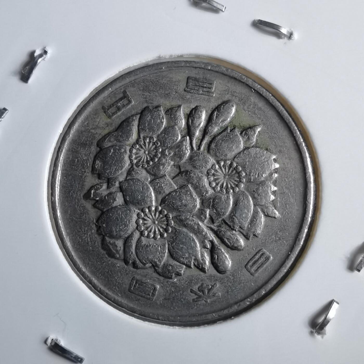 沼泽如烟--第891场