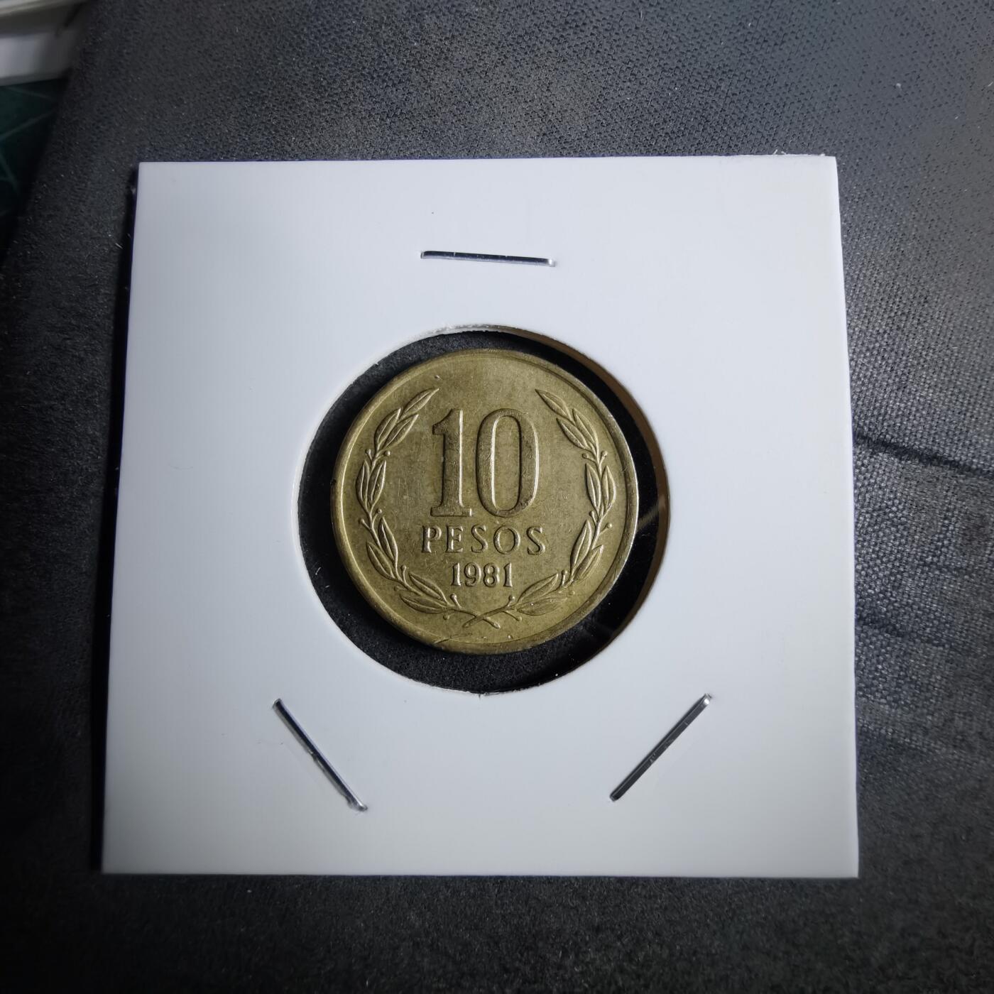 沼泽如烟--第892场