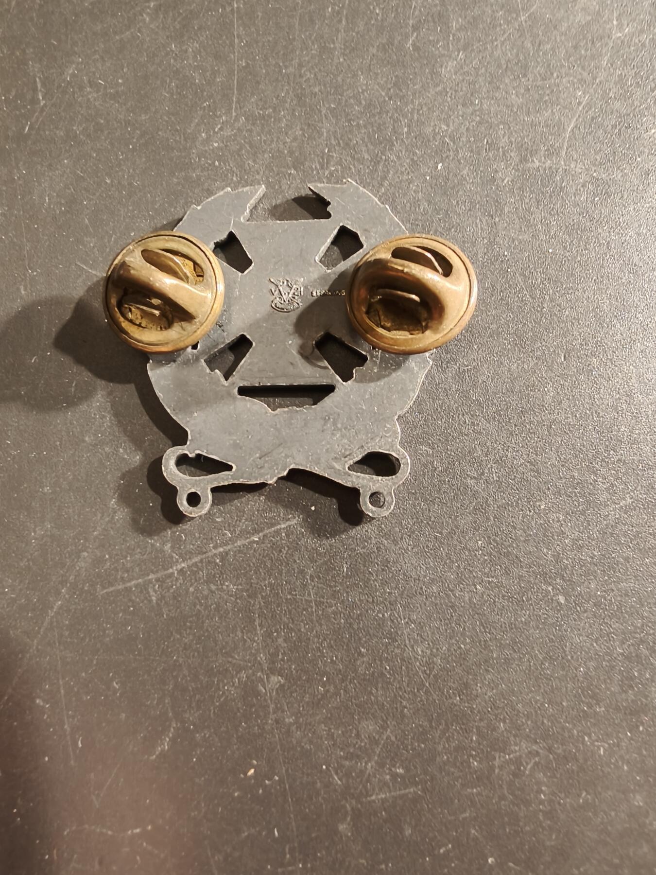 老王徽章第161期