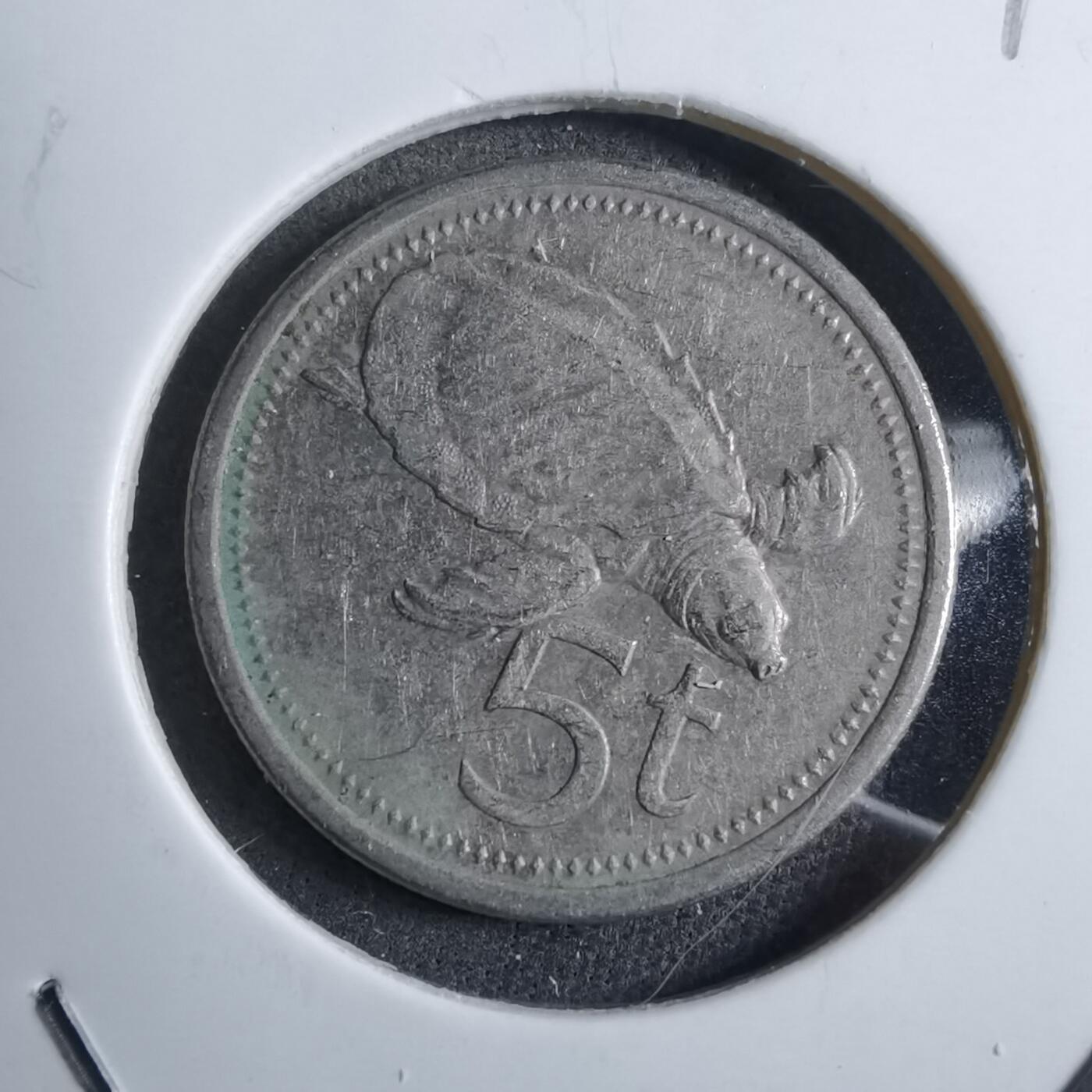 沼泽如烟--第892场