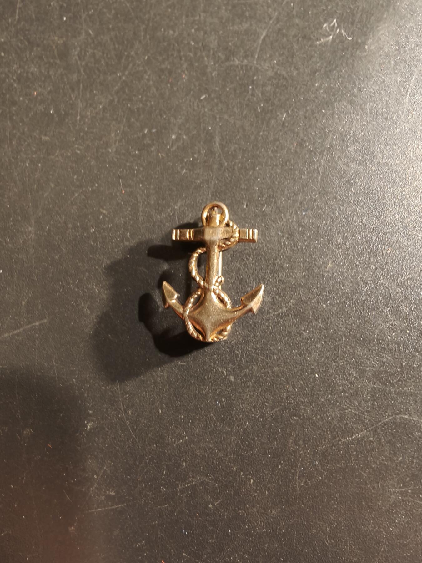 老王徽章第161期