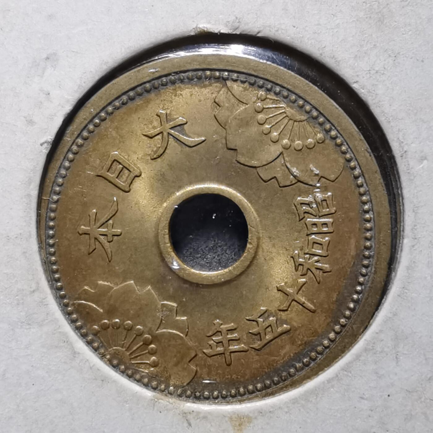 沼泽如烟--第892场