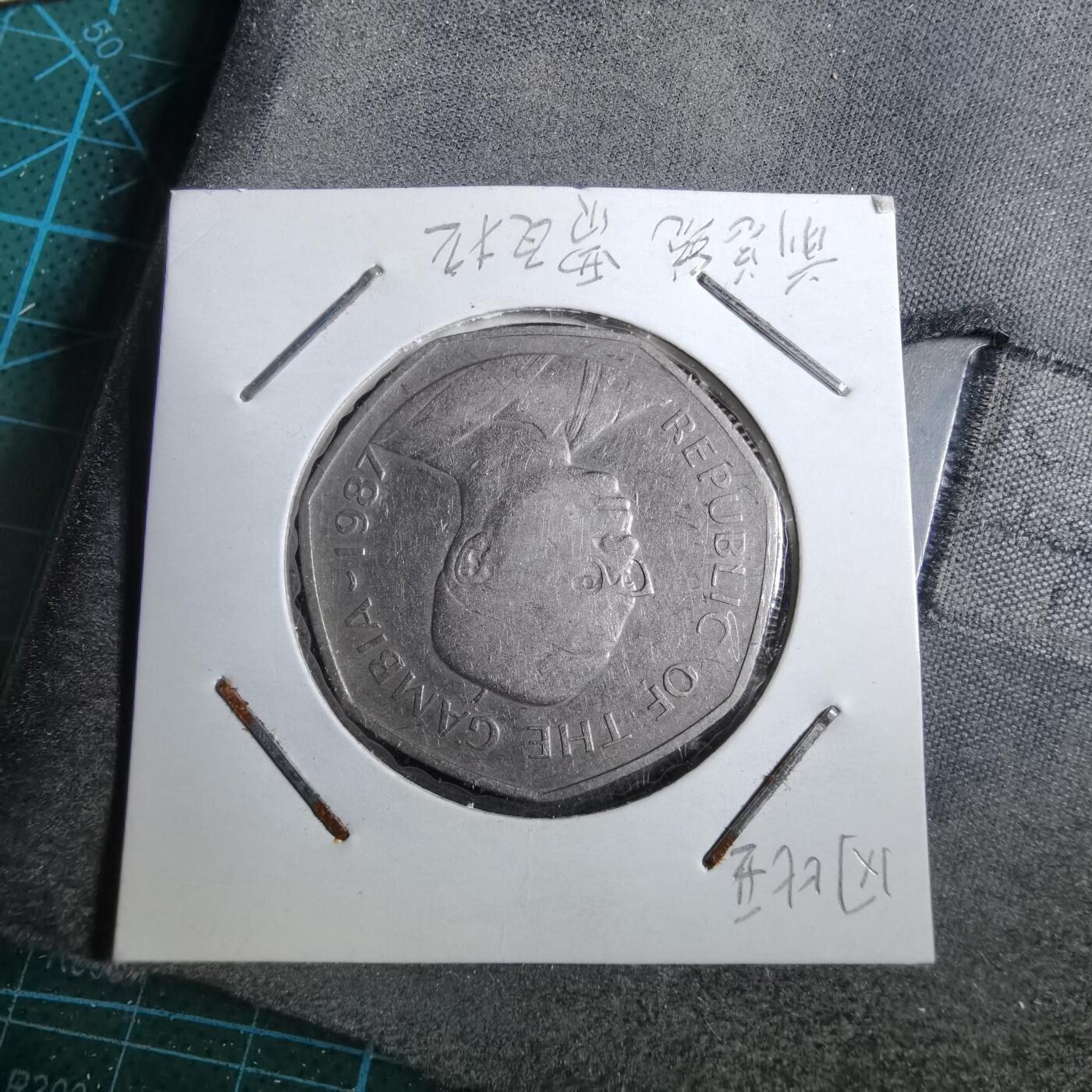 沼泽如烟--第892场