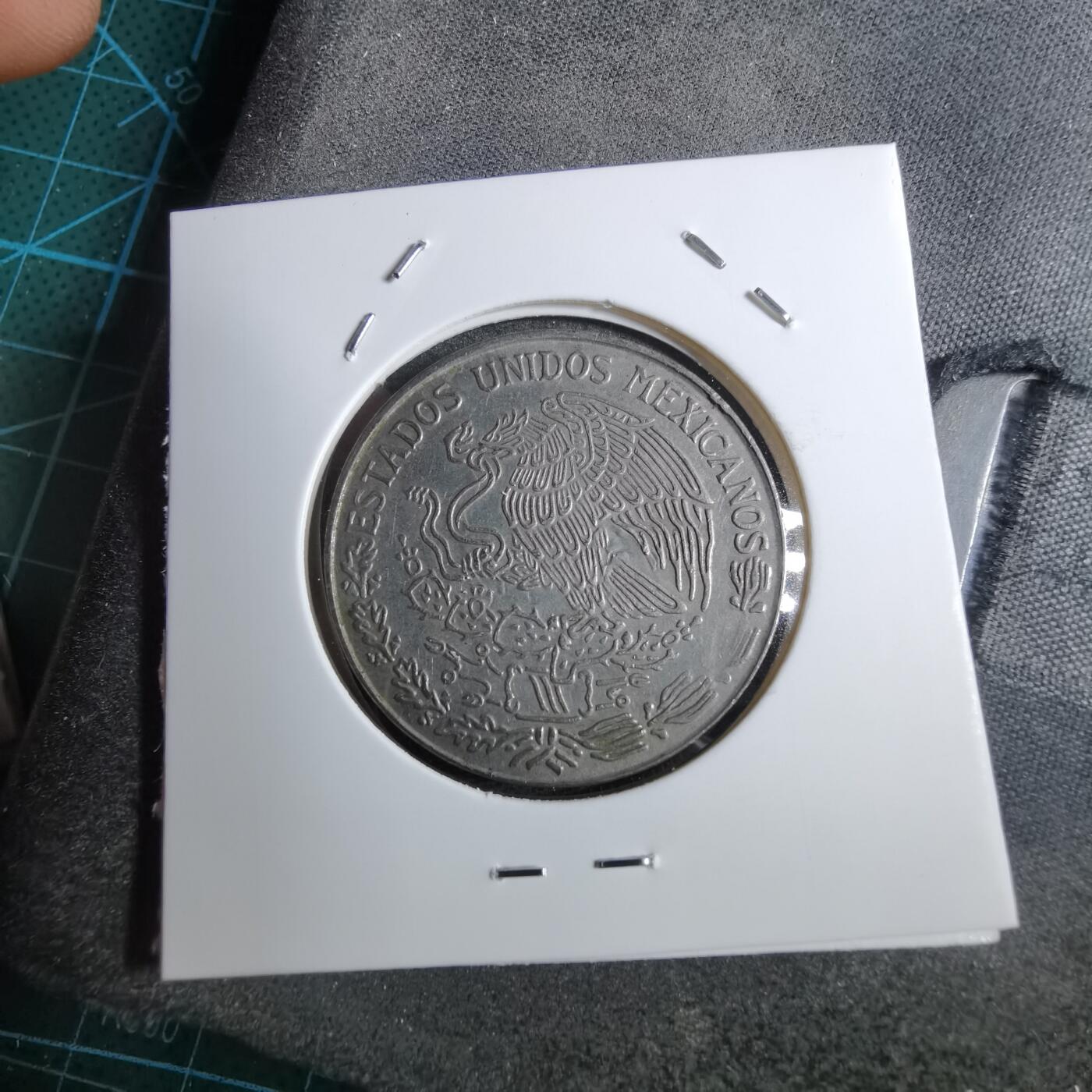 沼泽如烟--第892场