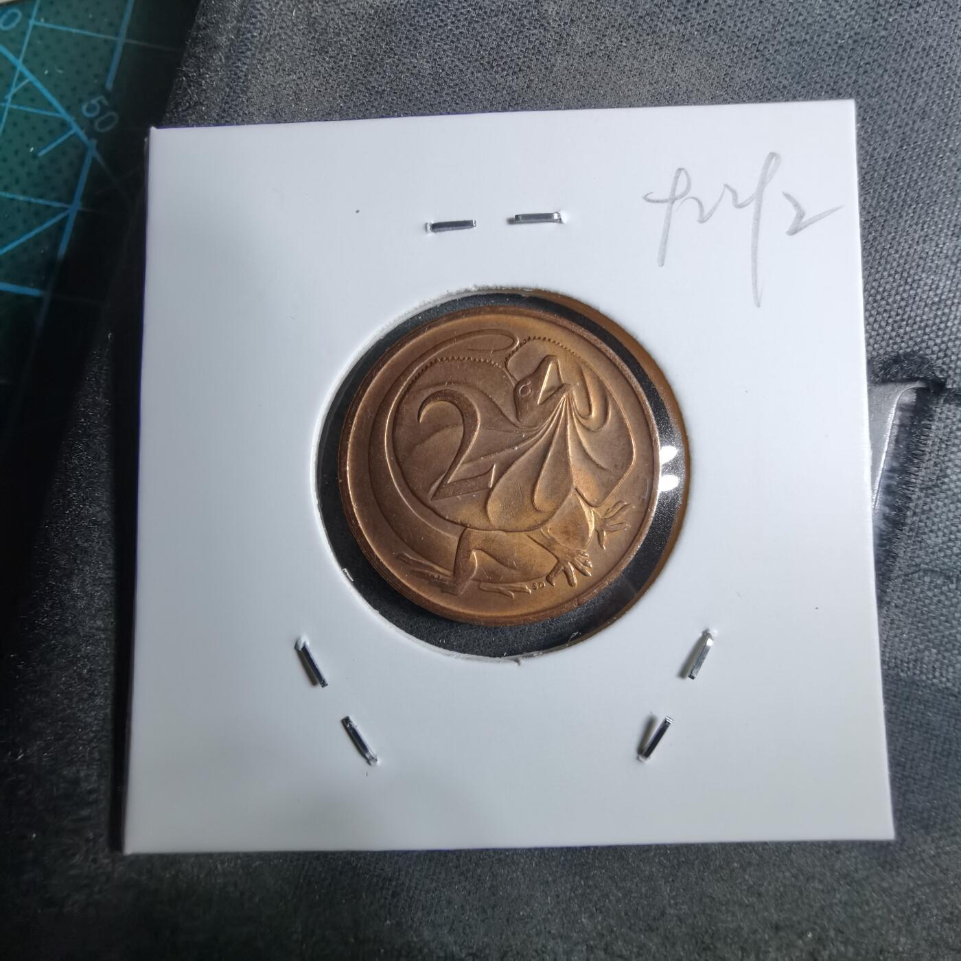 沼泽如烟--第892场