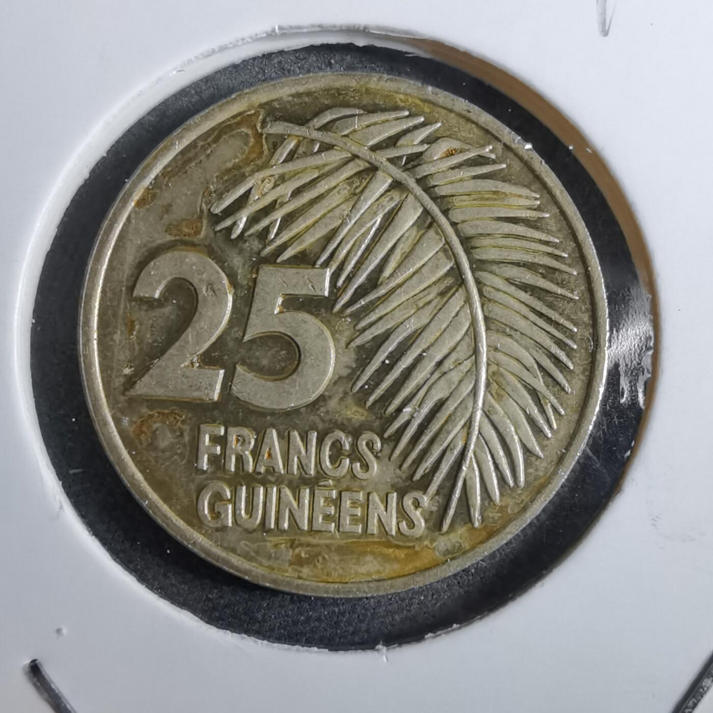 沼泽如烟--第892场