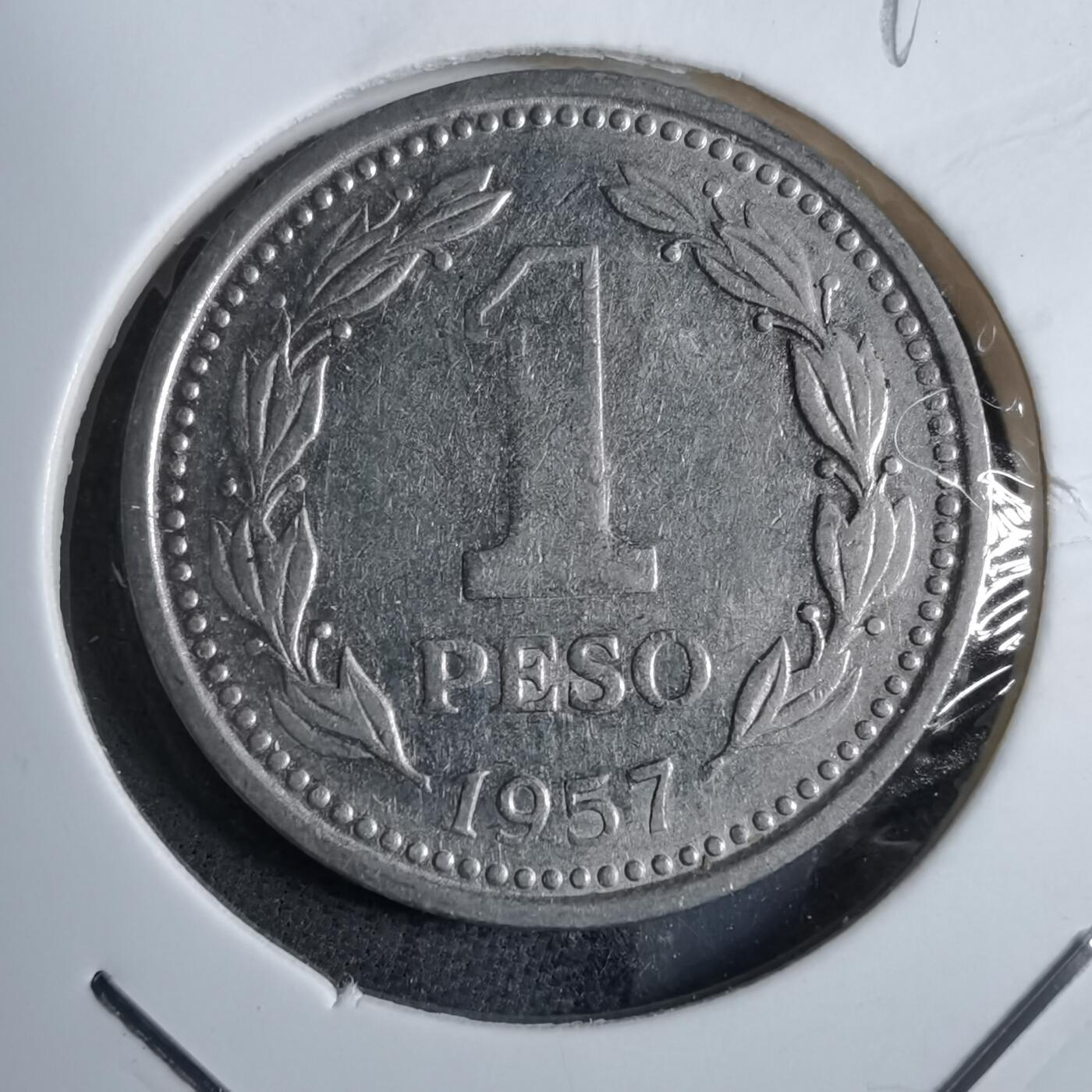 沼泽如烟--第892场