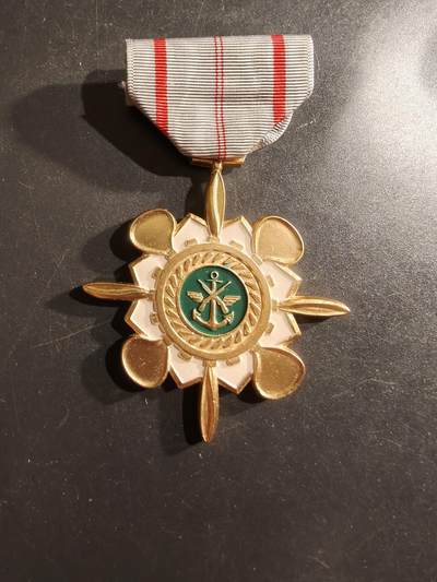 老王徽章第161期 - 南越技术服务奖章