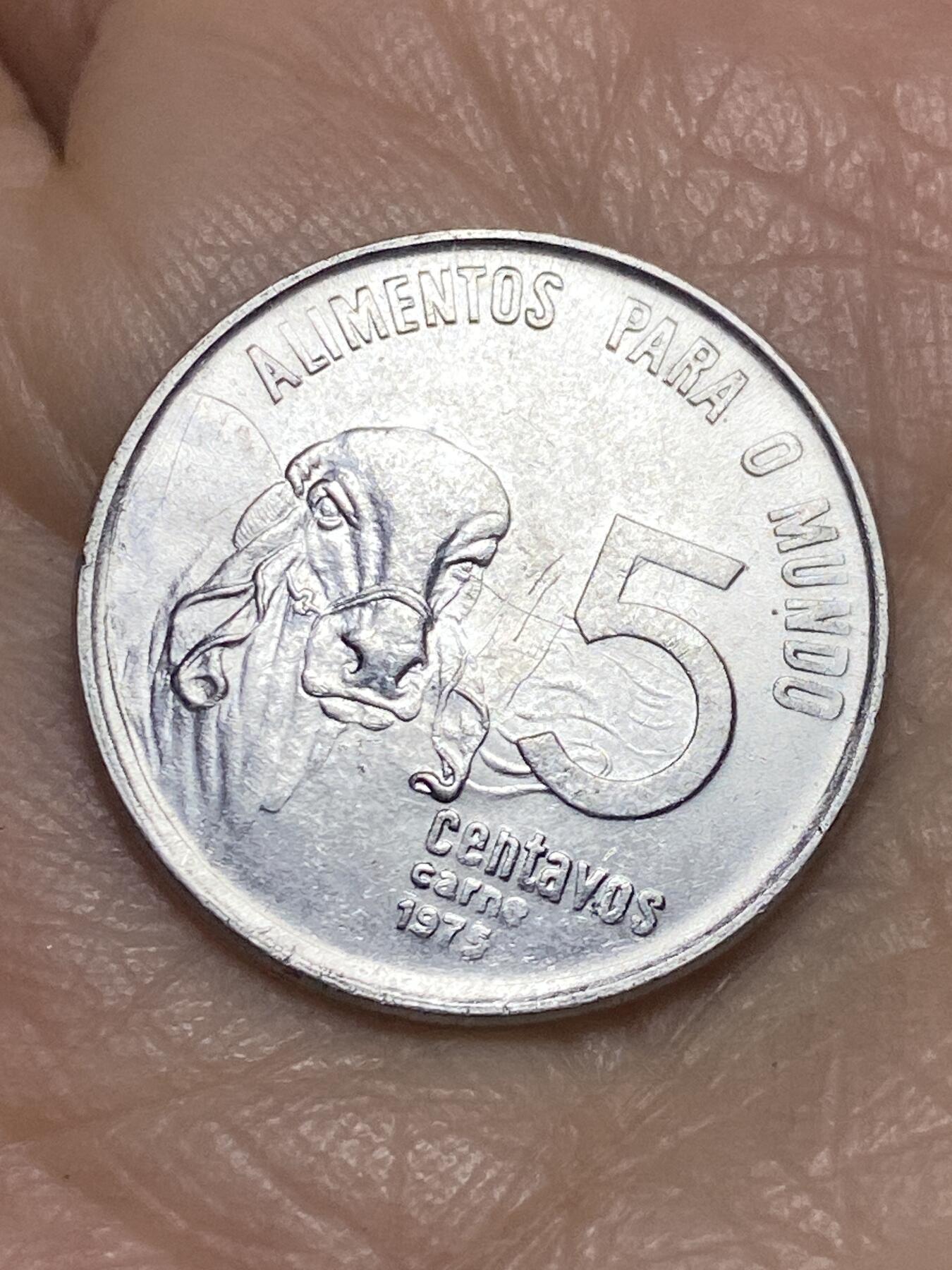 2025年第一百二十三场(总第一百四十九场）外国好品散币(免佣金) 巴西🇧🇷1975年5分(FAO纪念币)