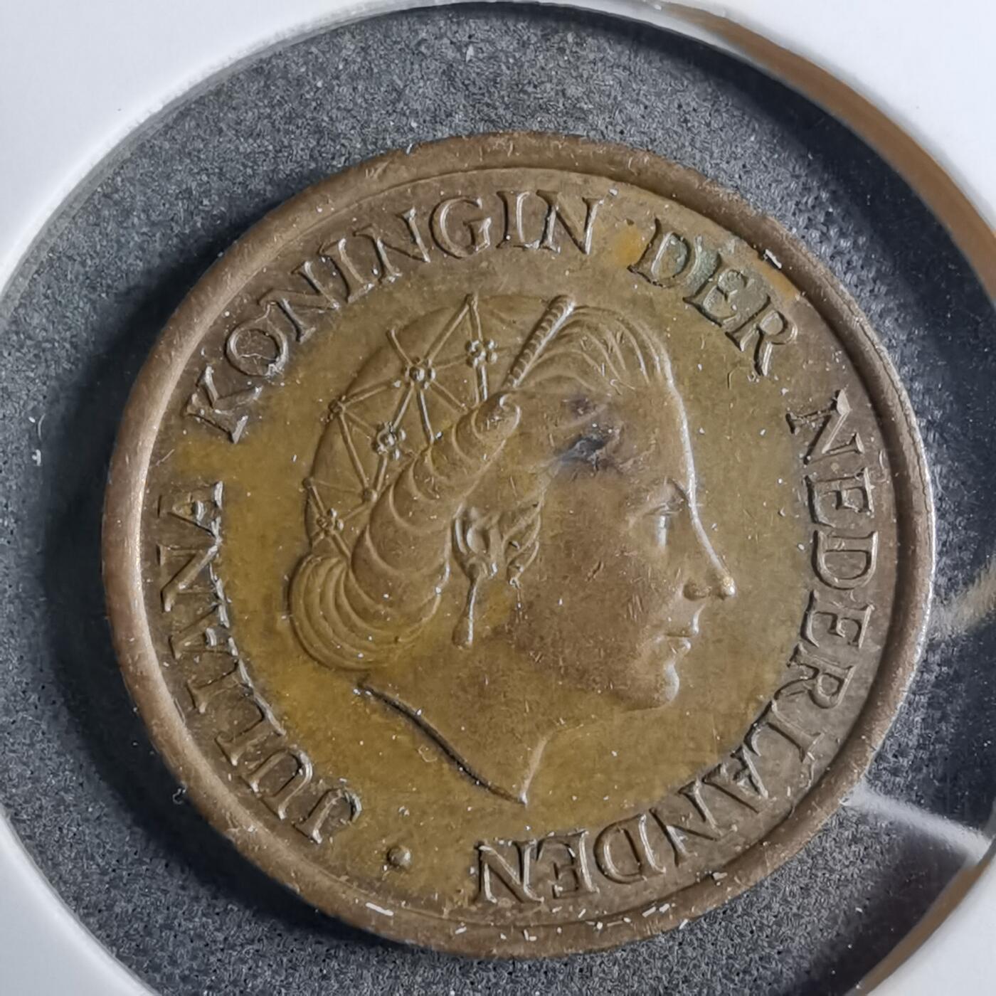 沼泽如烟--第892场