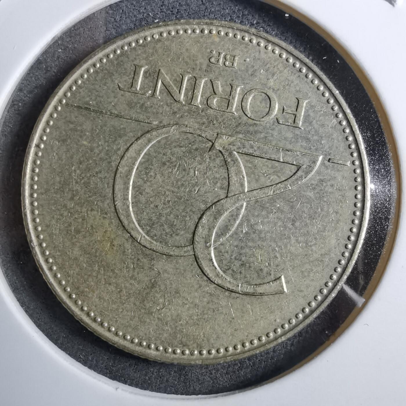 沼泽如烟--第892场