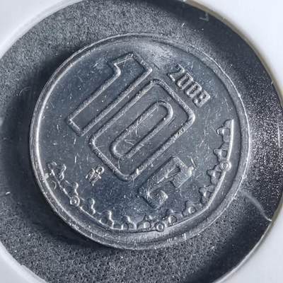 沼泽如烟--第892场 - 墨西哥2009年十分