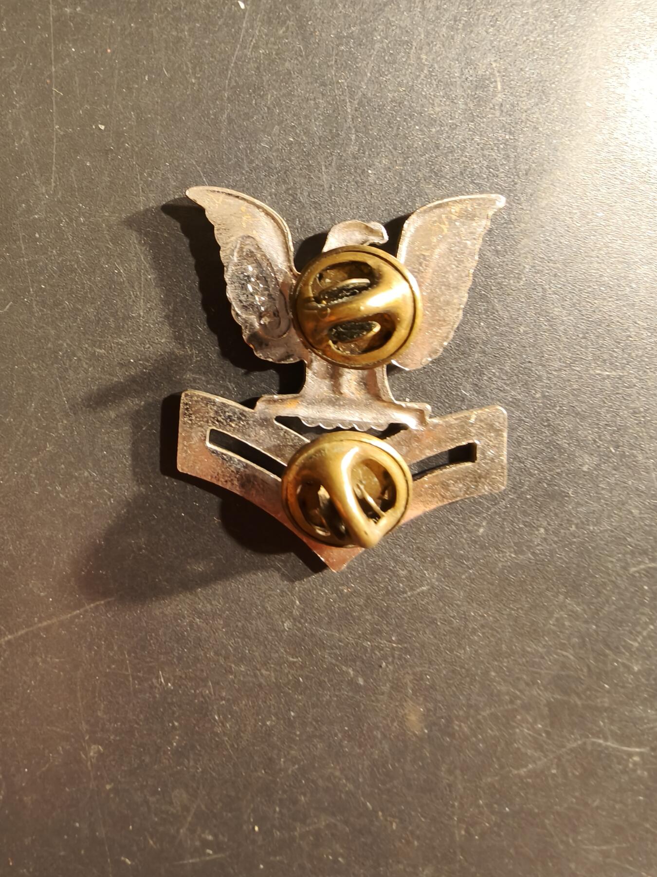 老王徽章第161期