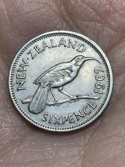 2025年第一百二十三场(总第一百四十九场）外国好品散币(免佣金) - 新西兰🇳🇿1962年6便士(伊丽莎白二世青年桂冠第二版)