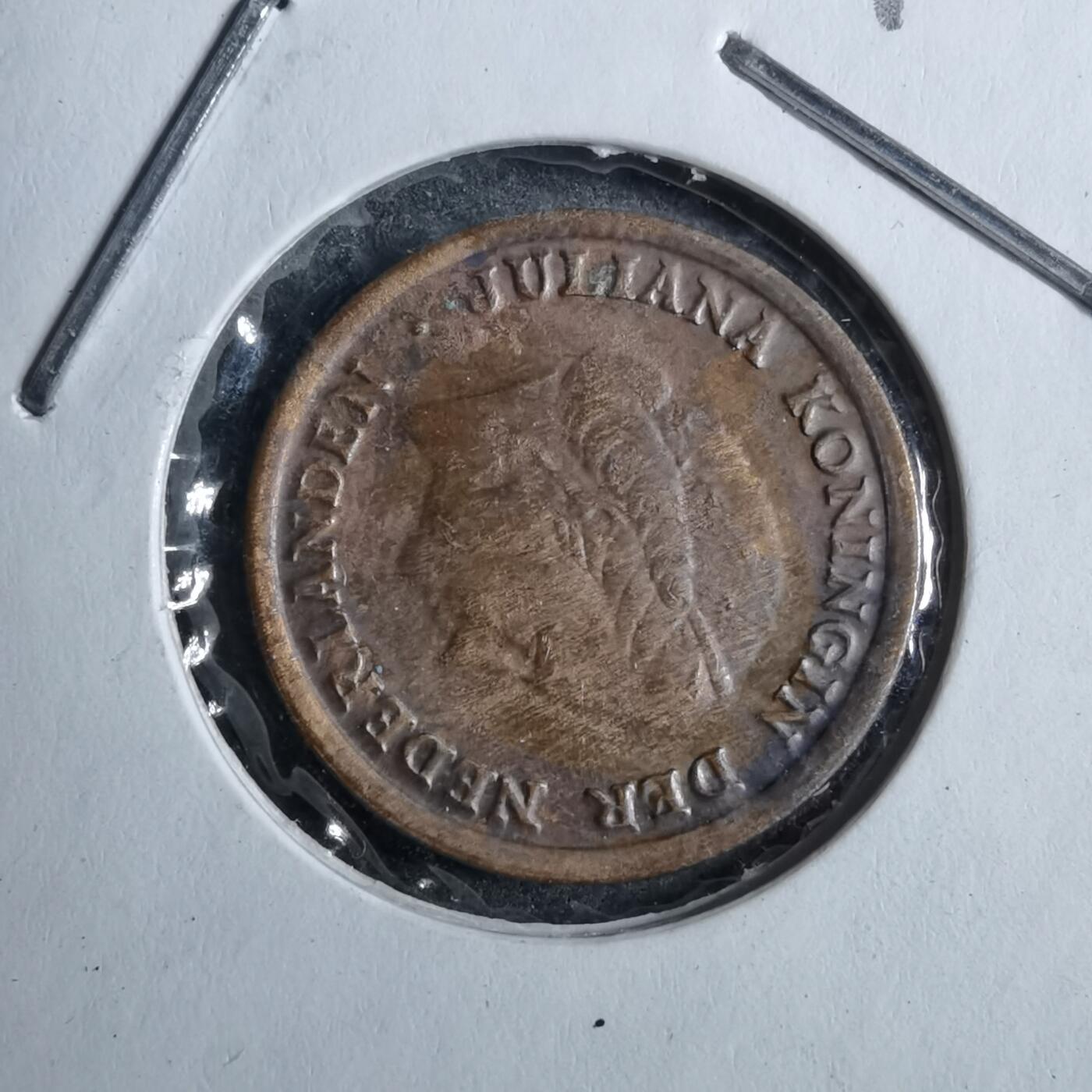 沼泽如烟--第892场