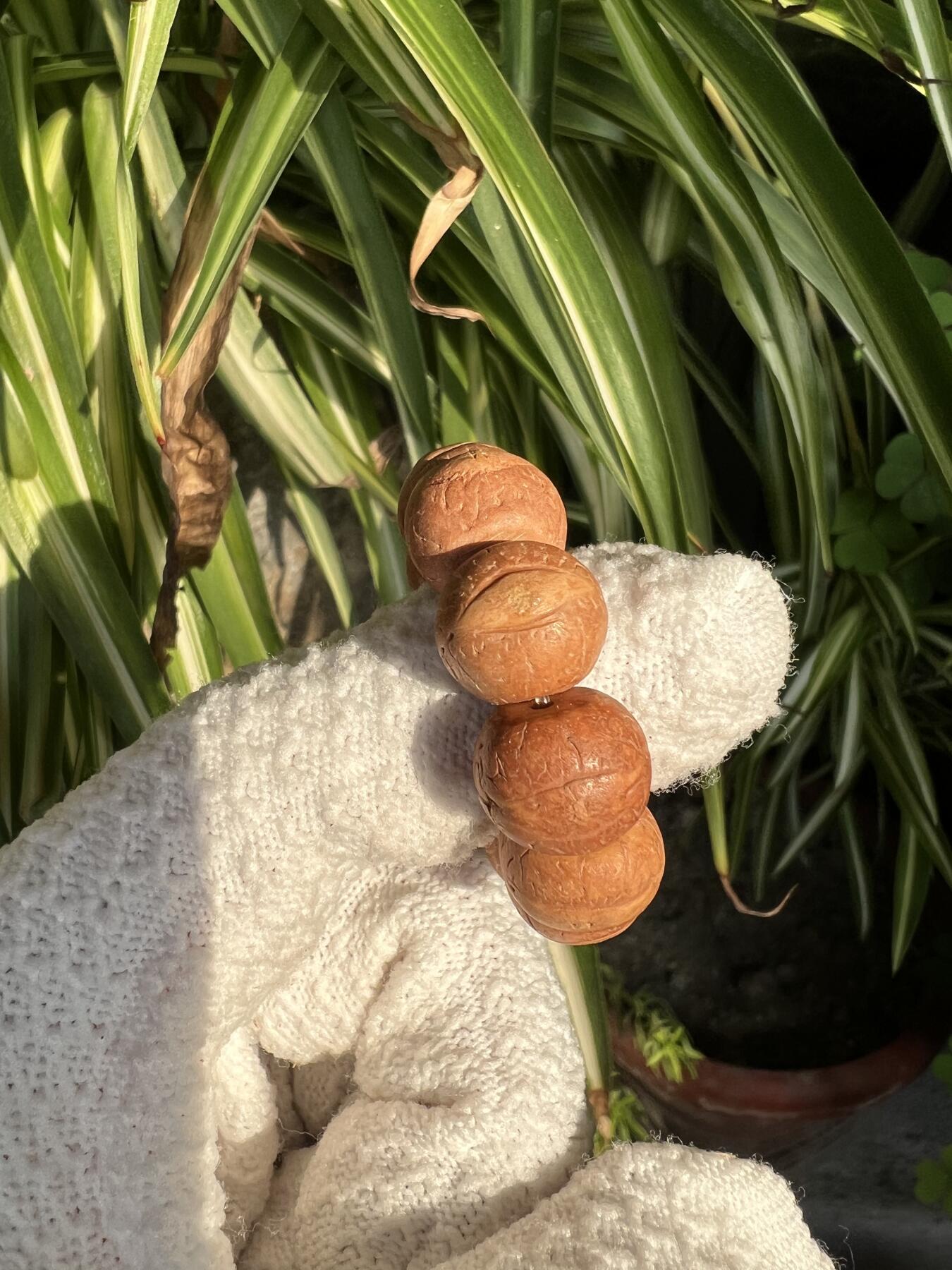 零元拍：凤眼菩提 厚切小手捻 12.5