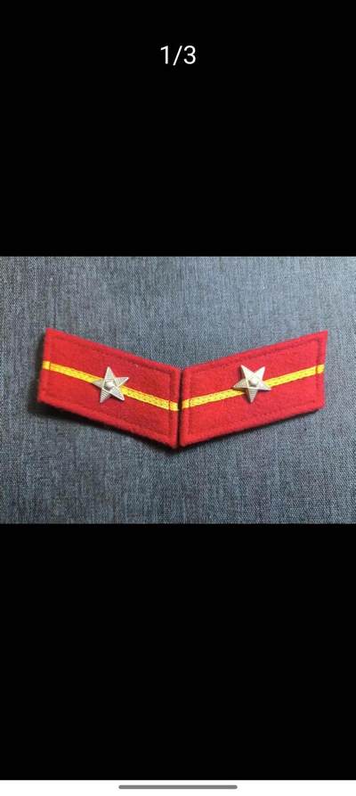 爱藏专拍 - su-M五五式步兵下士领章