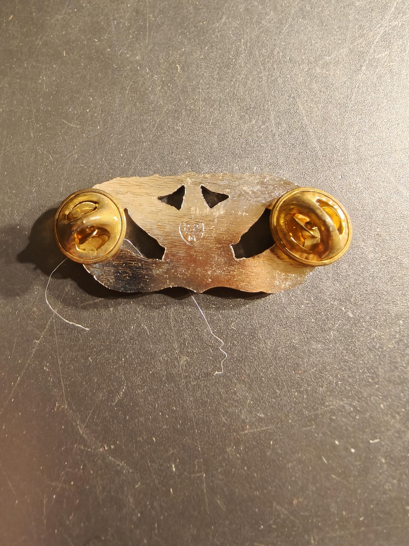 老王徽章第161期 美国空军土木工程师技能章