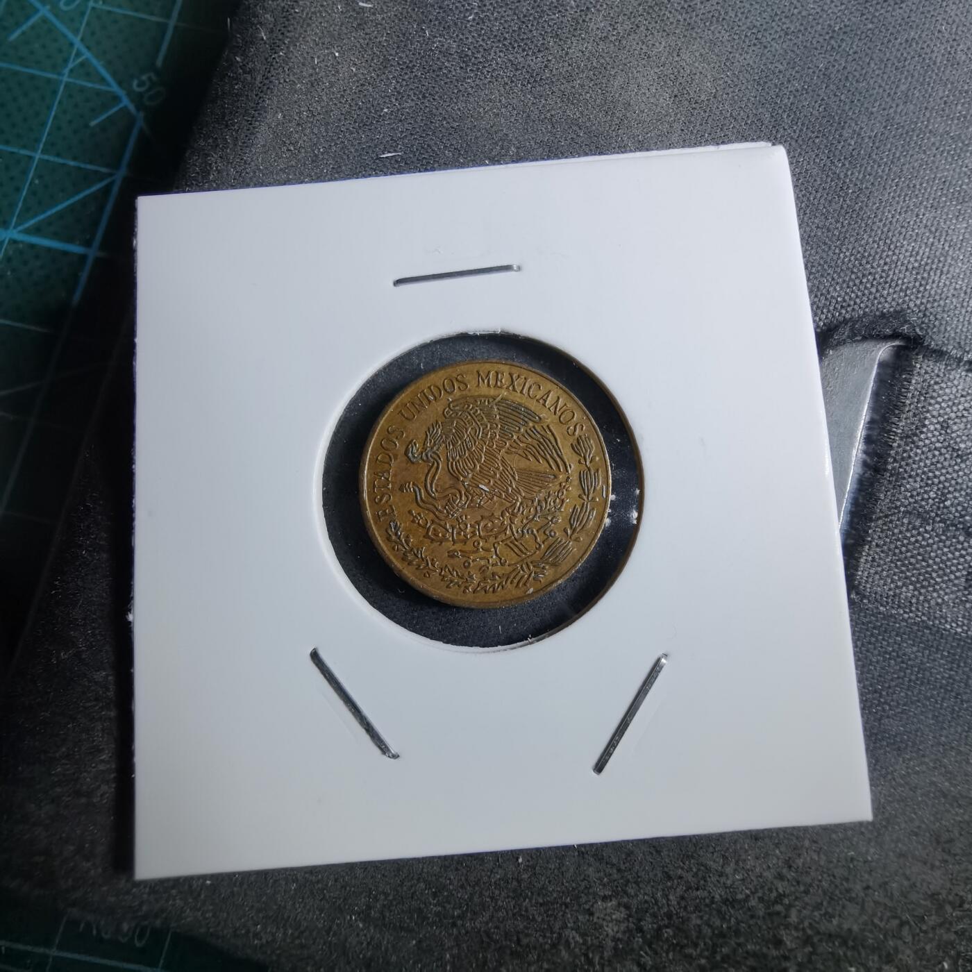 沼泽如烟--第892场