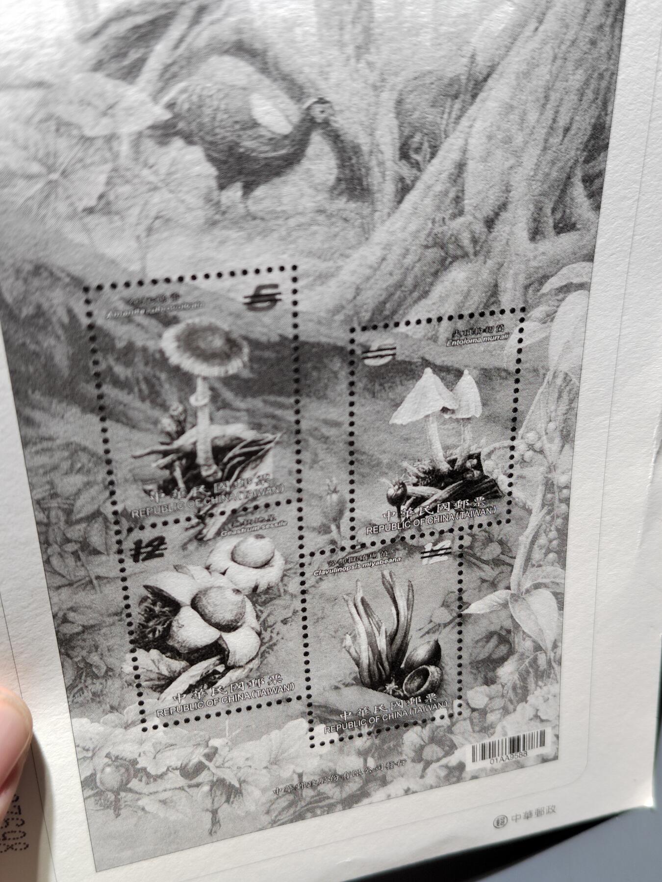 PCAI钱币6-583 中国台湾省邮票小专场 鸟