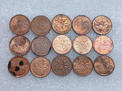 第一海外回流一元起拍收藏 散集专场  第261期 - 加拿大枫叶版1分铜币 15枚