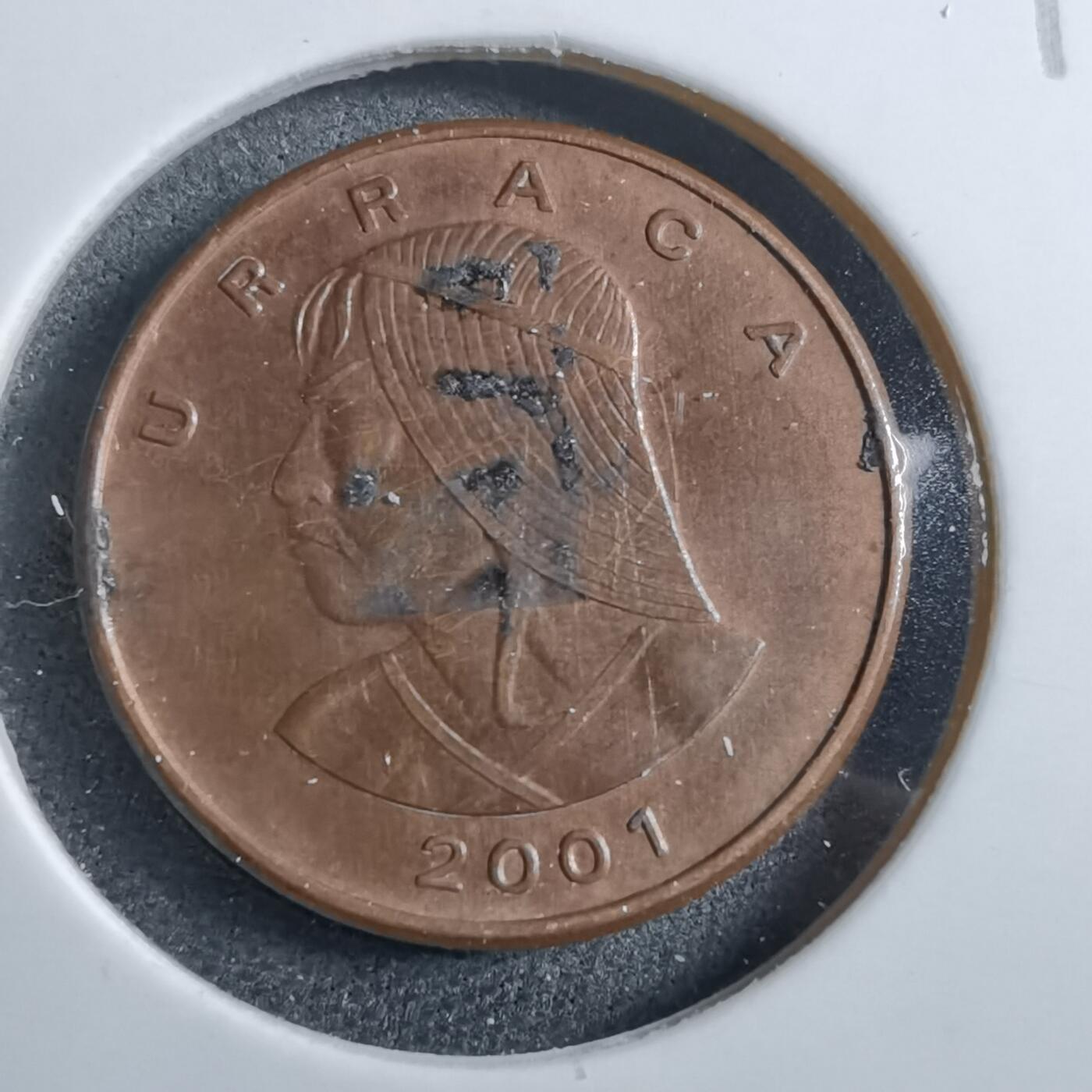 沼泽如烟--第892场