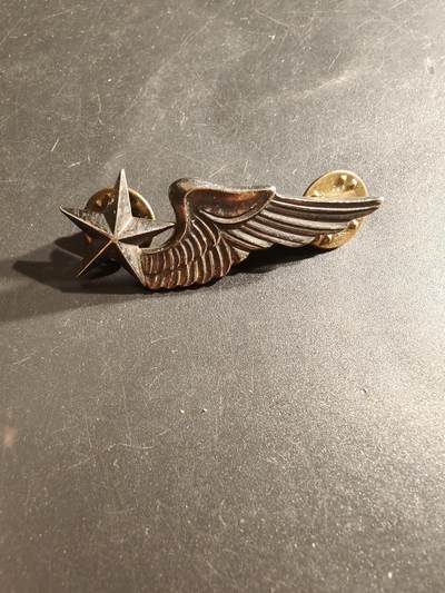 老王徽章第161期 - 南越空军学员技能章     带厂标