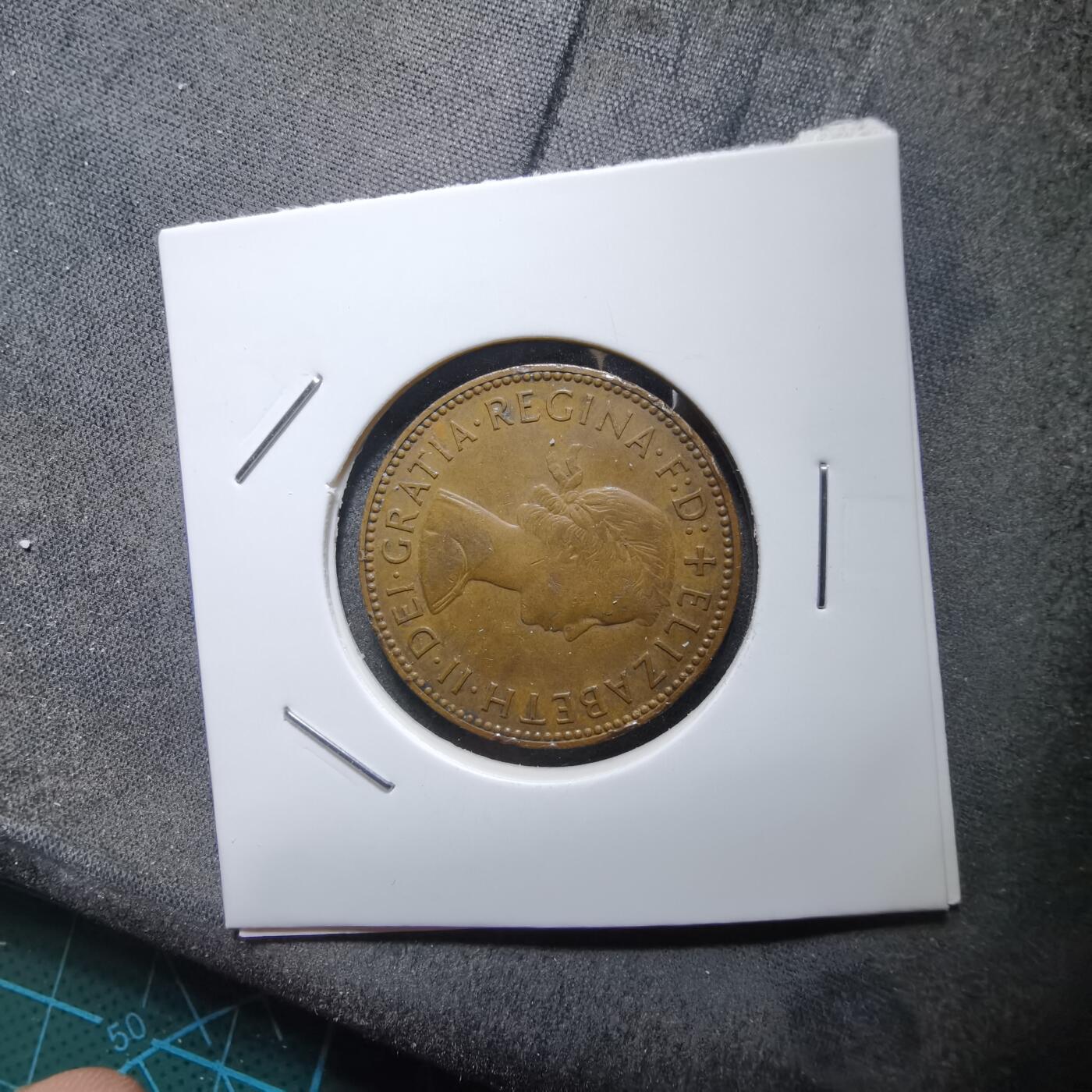 沼泽如烟--第892场