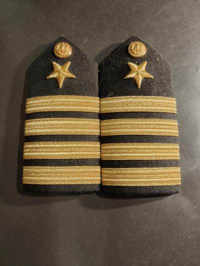 老王徽章第161期 - 美国海军上校肩章一组
