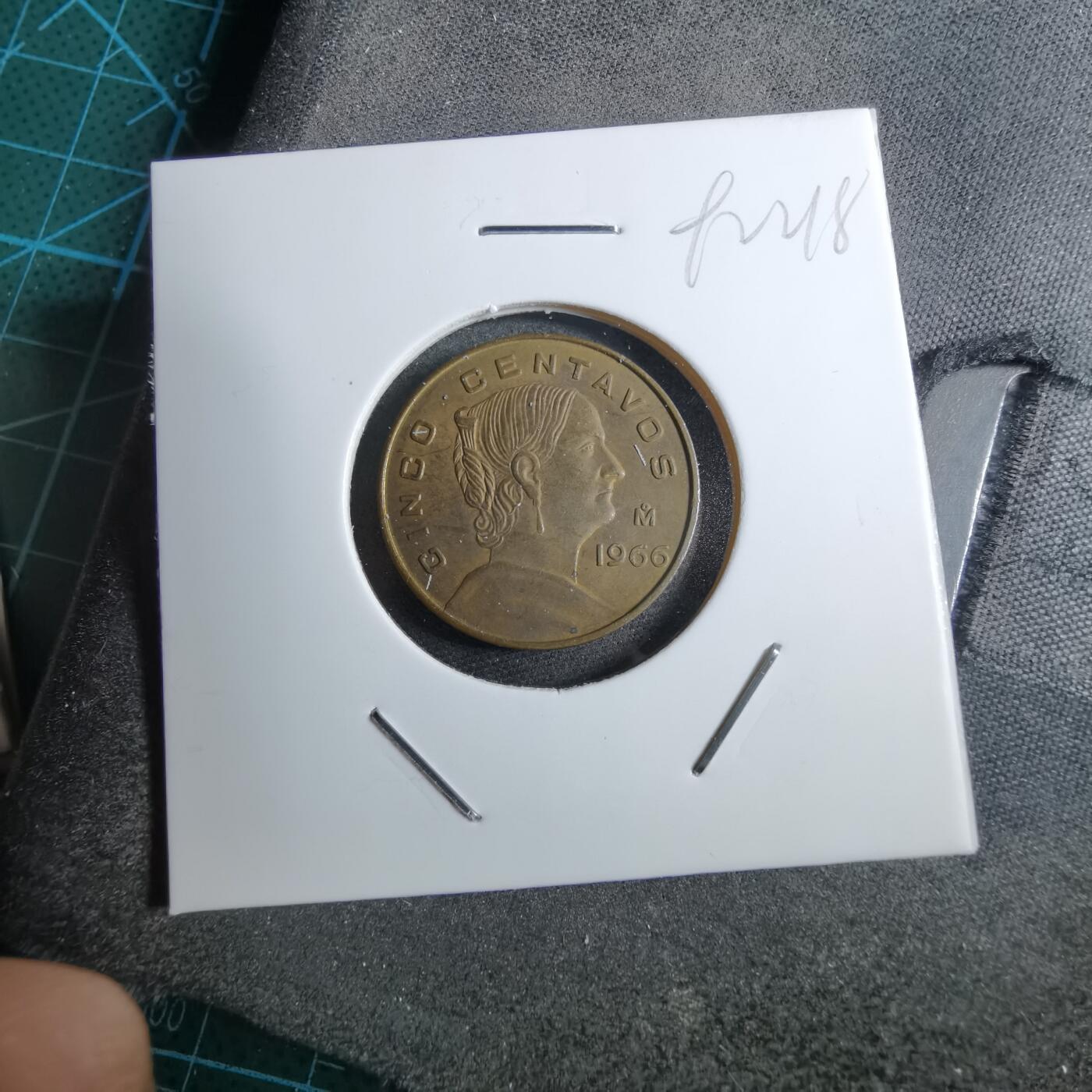 沼泽如烟--第892场