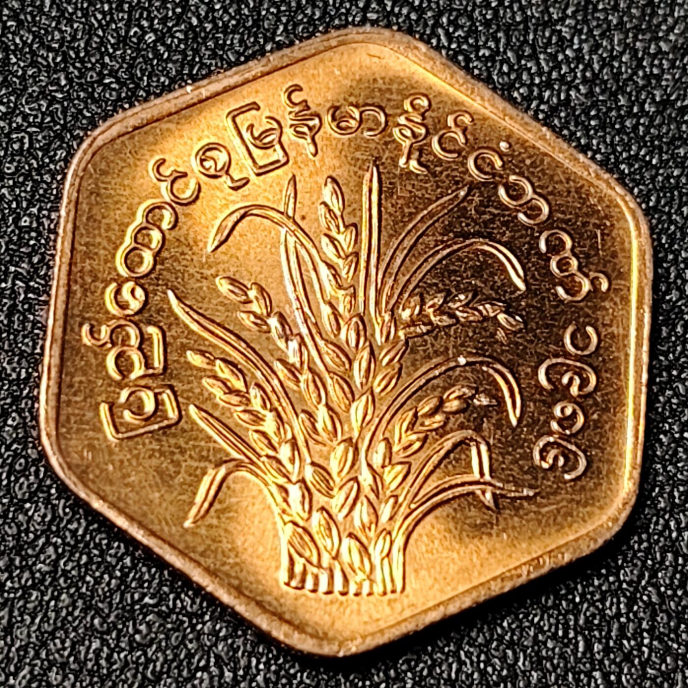 泉币菌-第125场-126场 并场 精品福利场(115场之后的本周末发货，感谢理解) 。