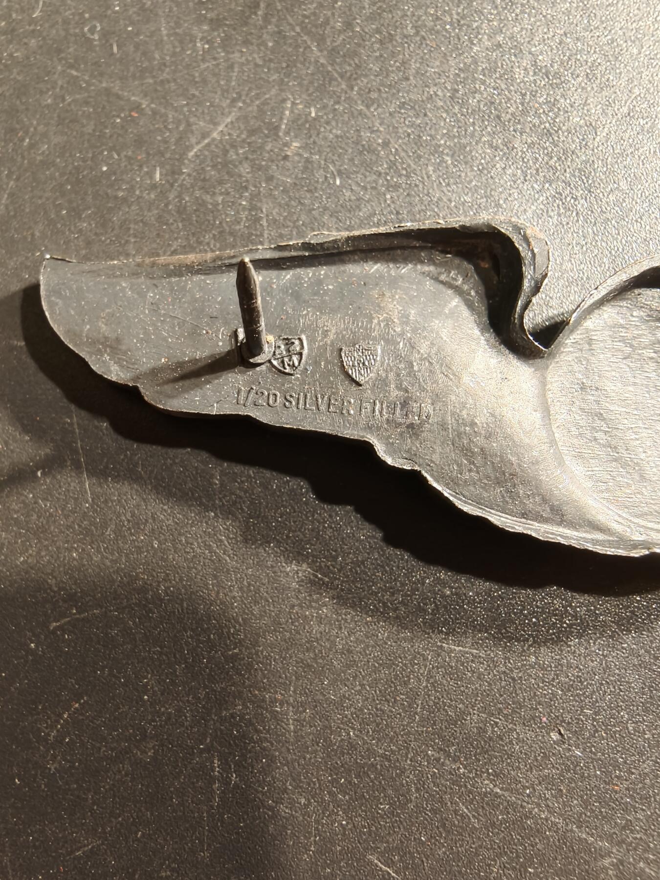 老王徽章第161期 美国空军机组人员技能章     包银     3英寸