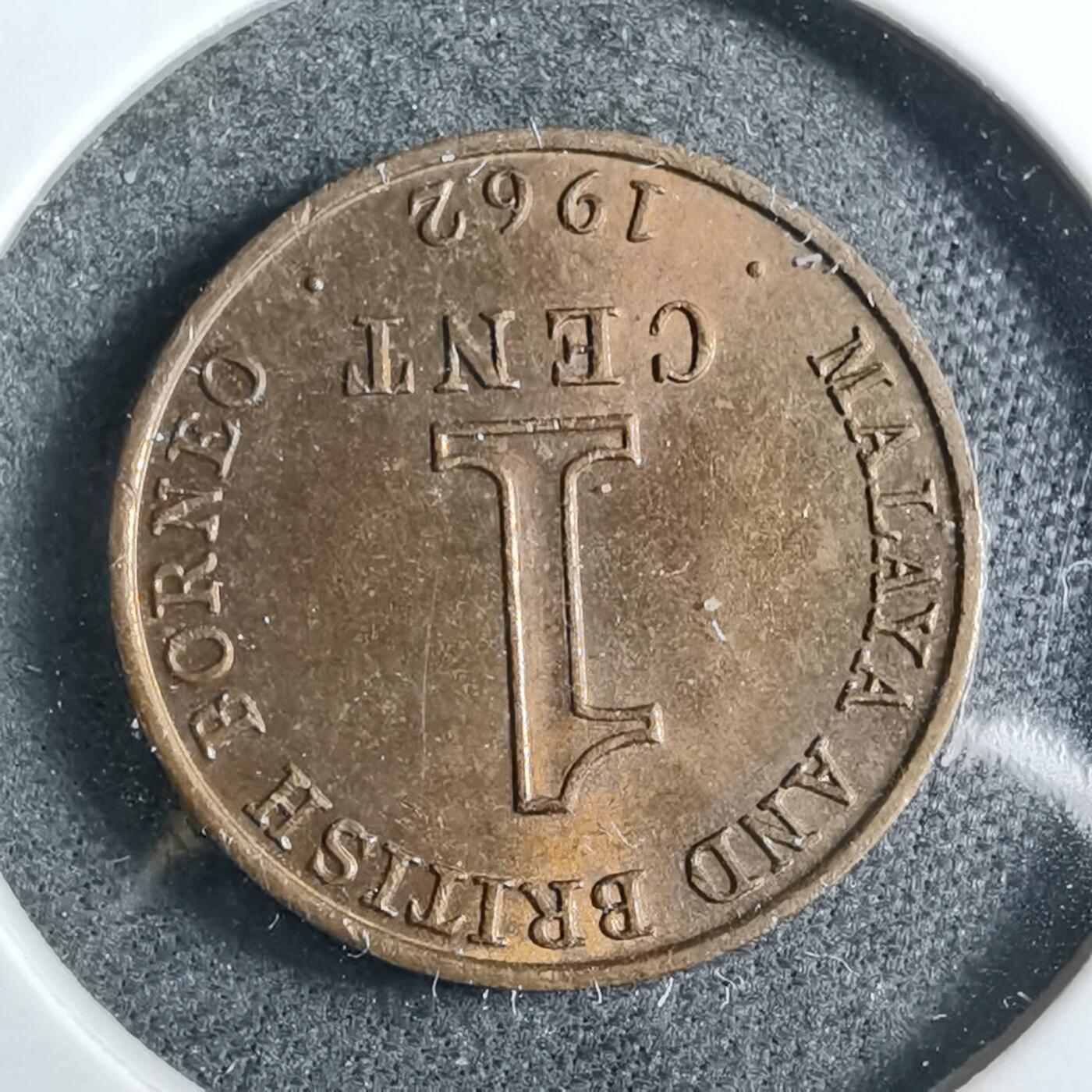 沼泽如烟--第892场