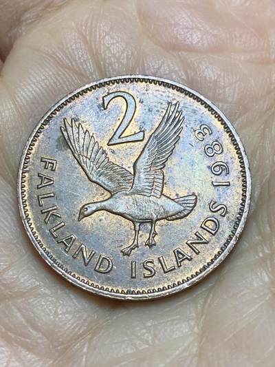 2025年第一百二十三场(总第一百四十九场）外国好品散币(免佣金) - 福克兰群岛🇫🇰1983年2便士