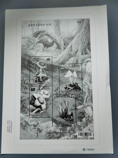 PCAI钱币6-583 中国台湾省邮票小专场 - 鸟