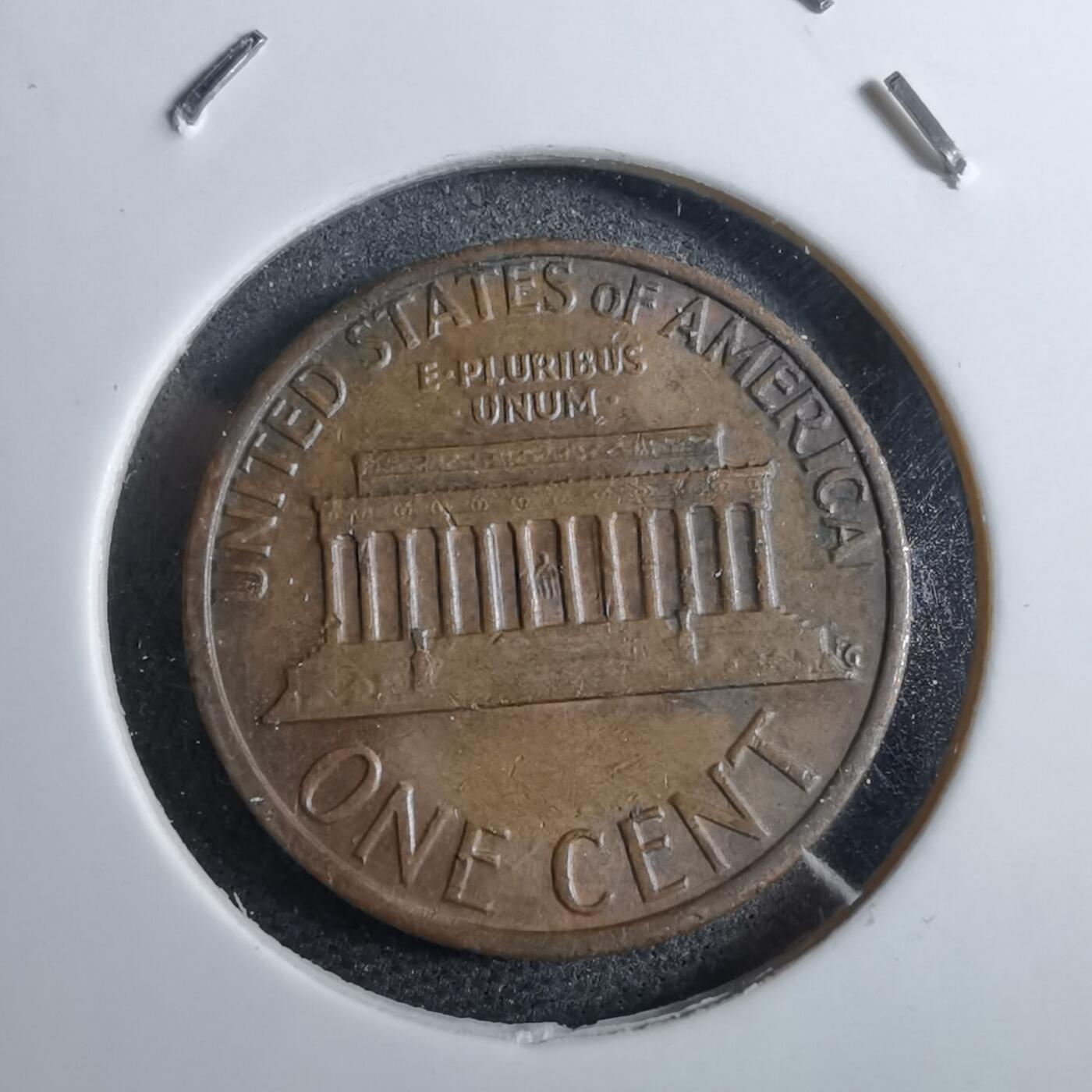 沼泽如烟--第892场