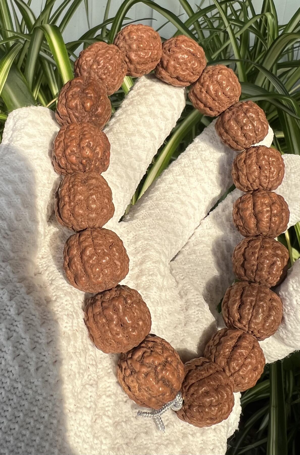 零元拍：碧根果 纯原生态金刚手持 17/18 超肉头 上手就红