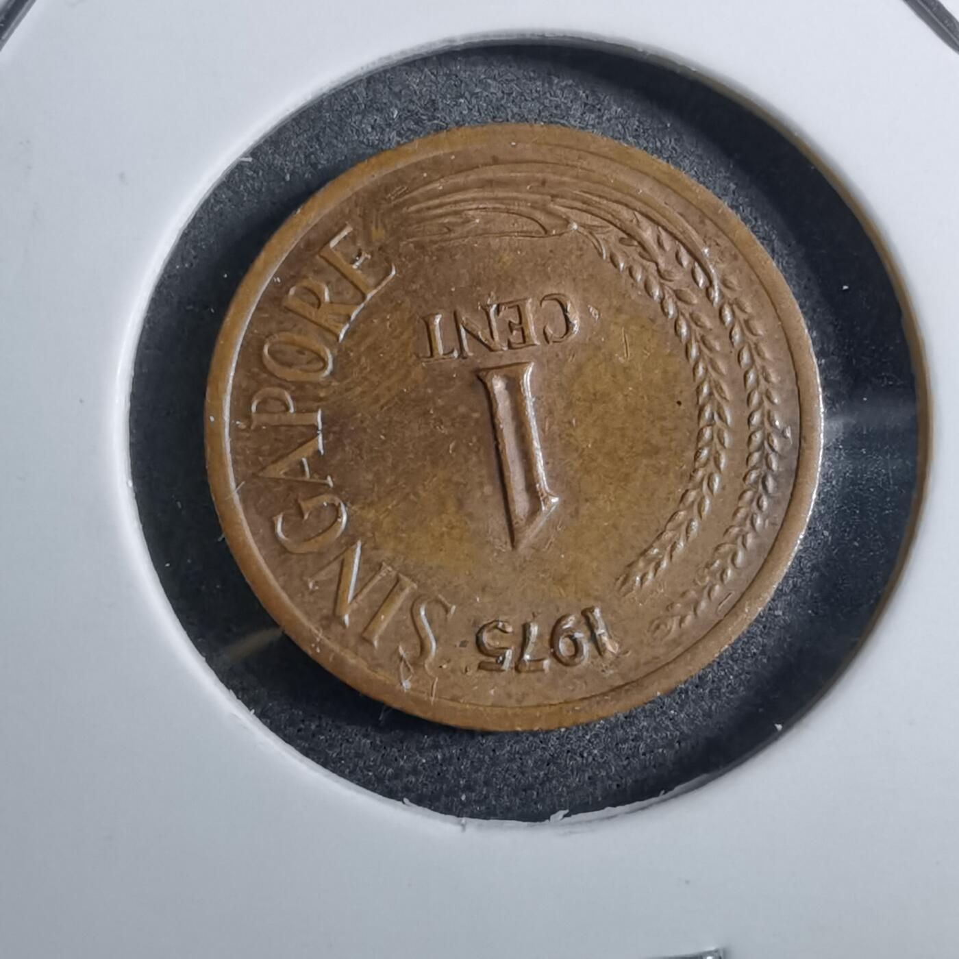 沼泽如烟--第892场