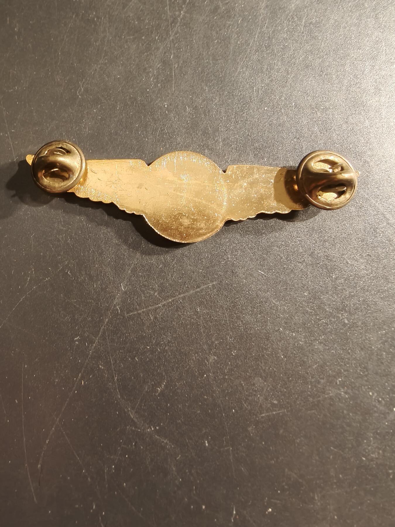 老王徽章第161期